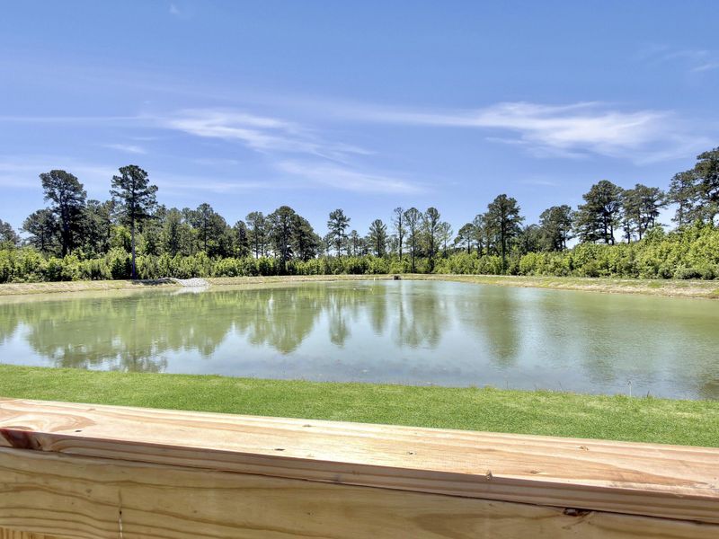 Natural landscape and outdoor views near The Groves of Berkeley in Moncks Corner (Image 61).