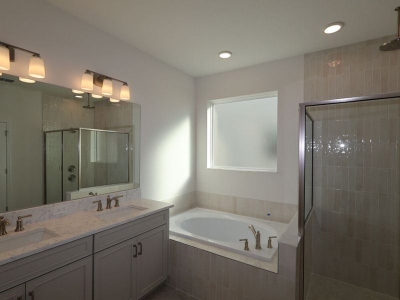 Owner's Bathroom