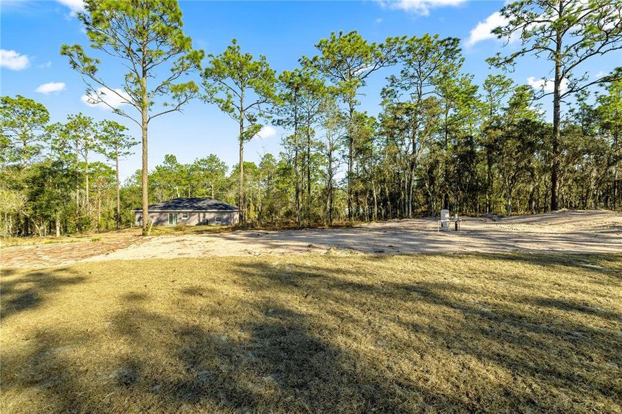 Natural landscape and outdoor views near  in Dunnellon (Image 21).
