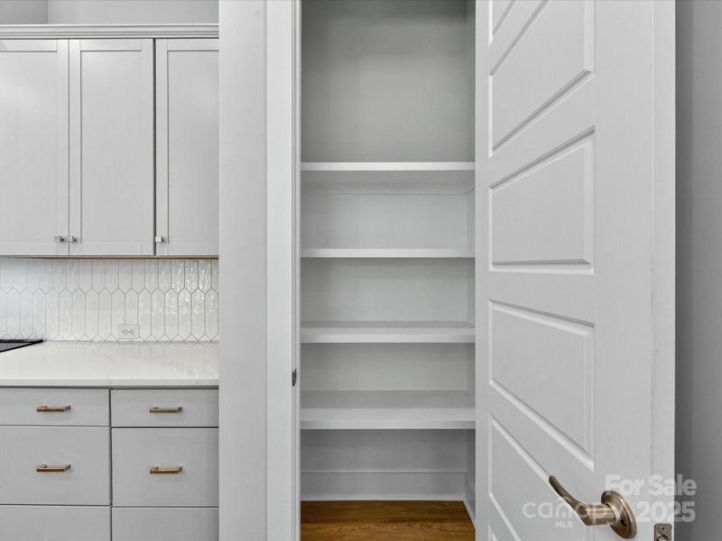 Close-up of interior finishes inside a home in Encore at Streamside - Classic Series, Waxhaw (Image 17).