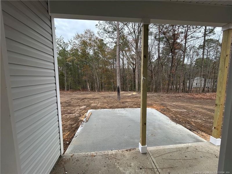 Covered back porch