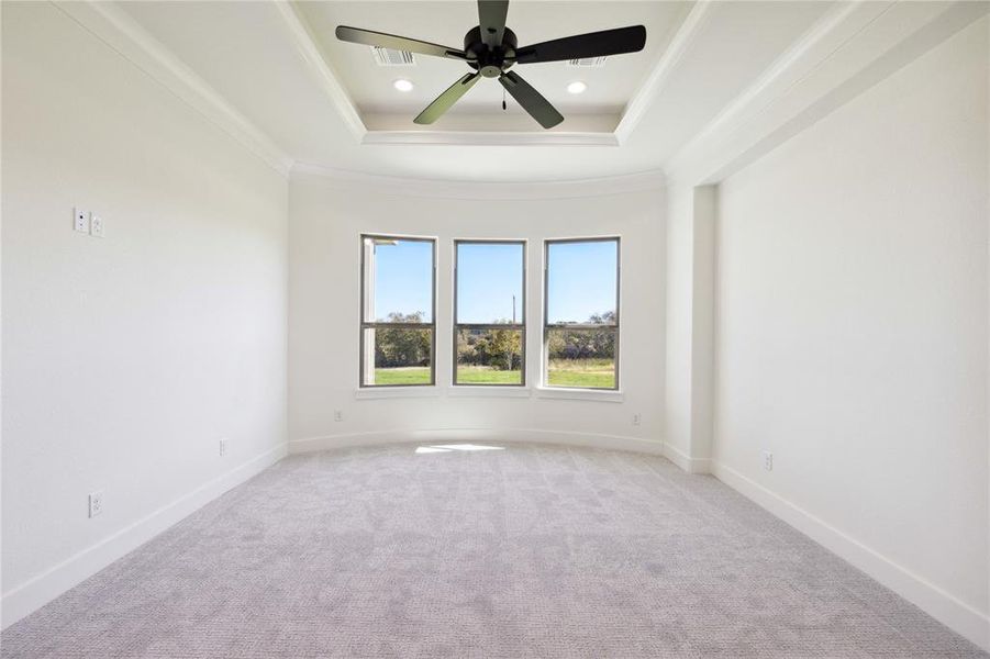 Carpeted empty room featuring a raised ceiling, ceiling fan, and crown molding