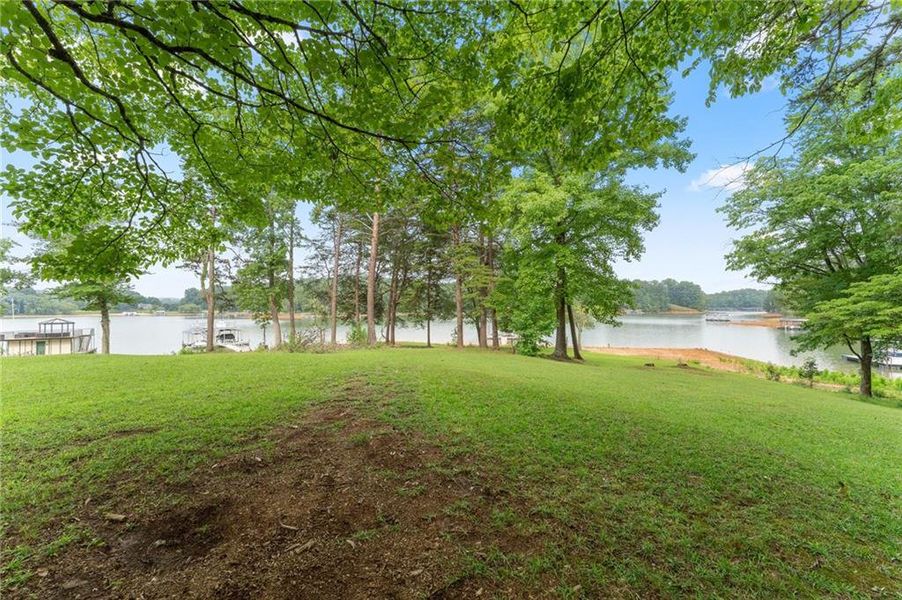 Natural landscape and outdoor views near  in Dawsonville (Image 88).