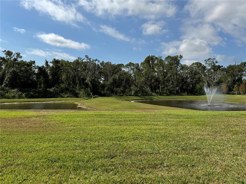 Natural landscape and outdoor views near Solera at Lakewood Ranch in Lakewood Ranch (Image 34).