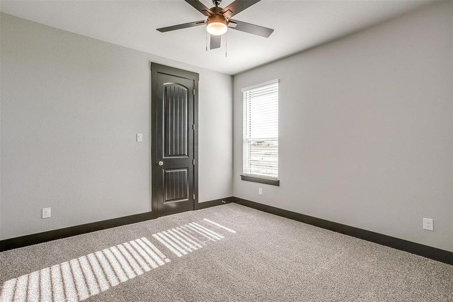 Spare room featuring carpet floors and ceiling fan