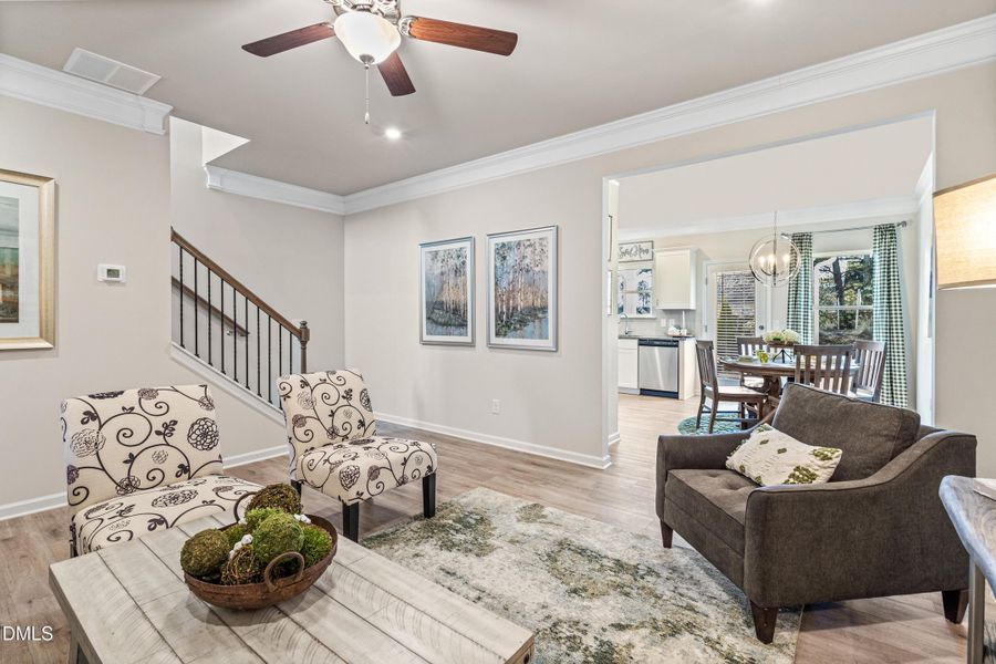 Representational Photo