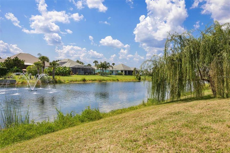 Natural landscape and outdoor views near  in Palm Coast (Image 81).