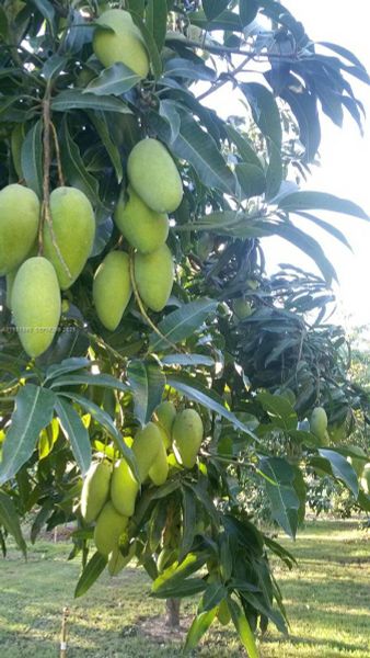 Natural landscape and outdoor views near  in Homestead (Image 4).