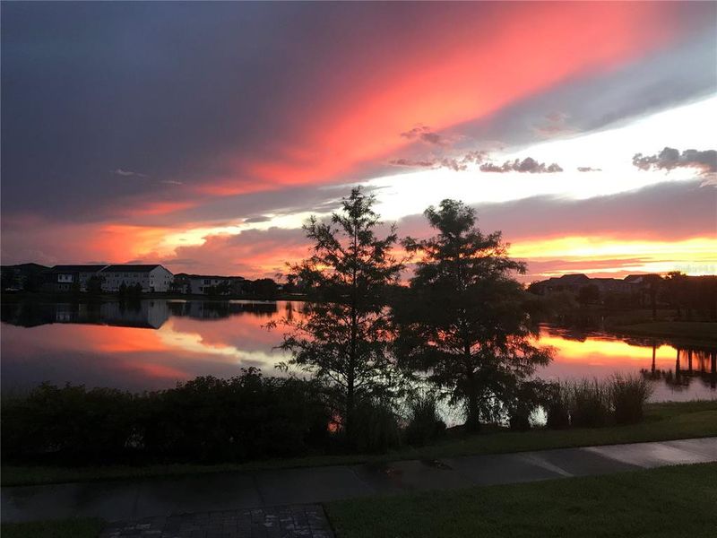 Natural landscape and outdoor views near  in Orlando (Image 47).