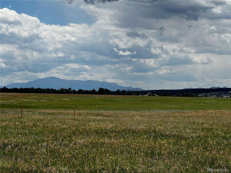 Pikes Peak views from the lot