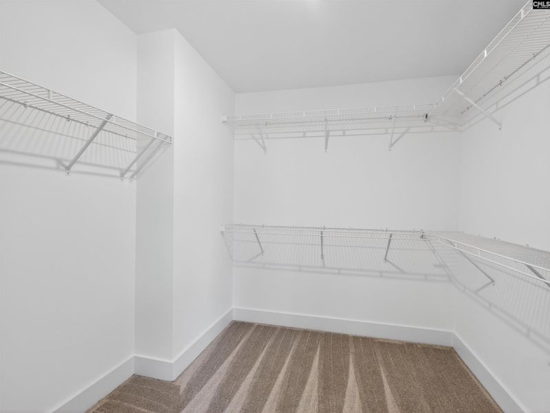 Spacious, unfurnished interior of a new home in Collins Cove, Chapin (Image 46).