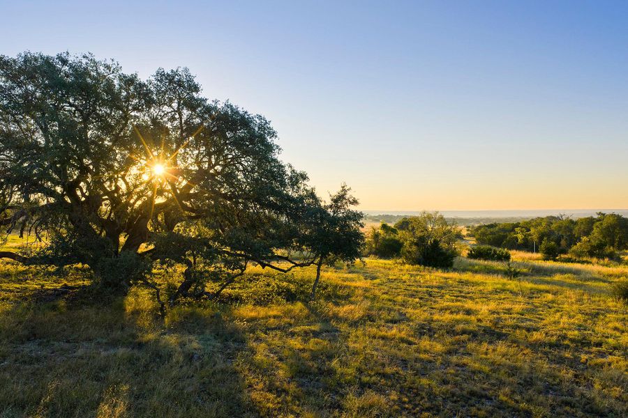 View of local wilderness View of local wilderness