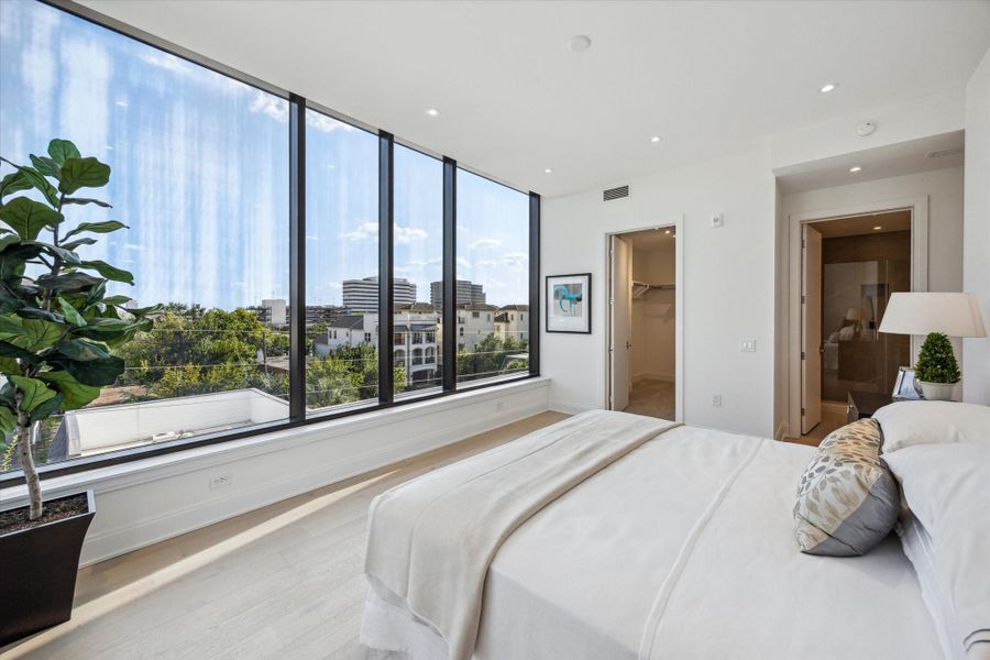 Primary bedroom with south light, large walk-in closet, room for king bed and more.