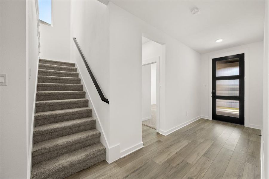 224 Whitetail- Entry-1