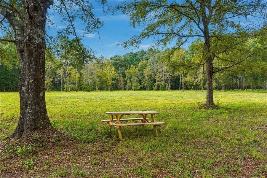 Natural landscape and outdoor views near  in Resaca (Image 36).