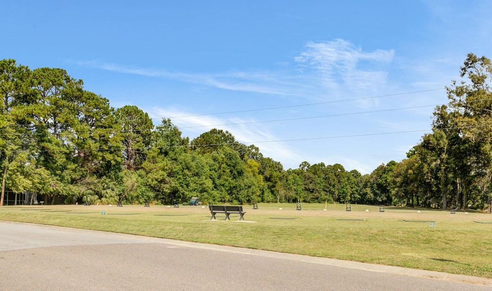 Natural landscape and outdoor views near  in Charleston (Image 72).