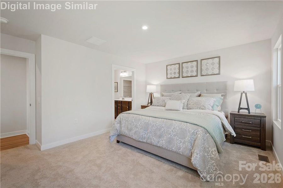 DOMINICA SPRING- OWNER'S SUITE. Illustrative purposes only