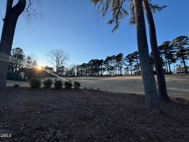 Golf Course View Golf Course View