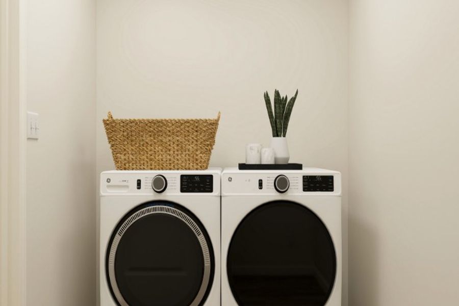 A white wall with a washing machine and a plant on it. A white wall with a washing machine and a plant on it.