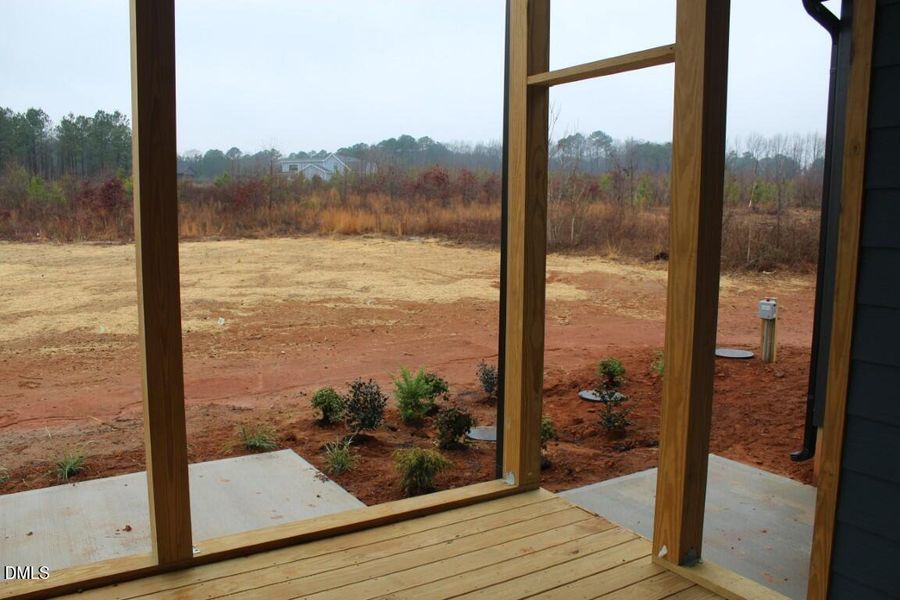 IMG_7351 (Medium) IMG_7351 (Medium)