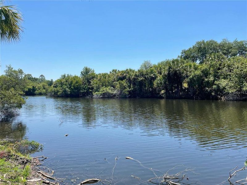 Natural landscape and outdoor views near  in North Port (Image 53).