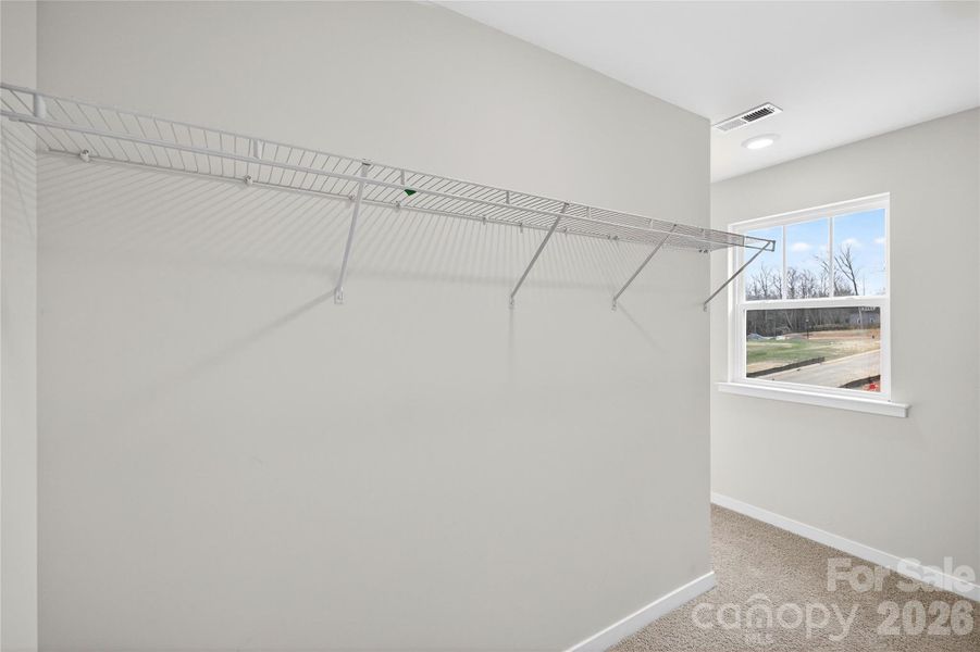 Spacious, unfurnished interior of a new home in Reedy Creek Preserve, Charlotte (Image 22).