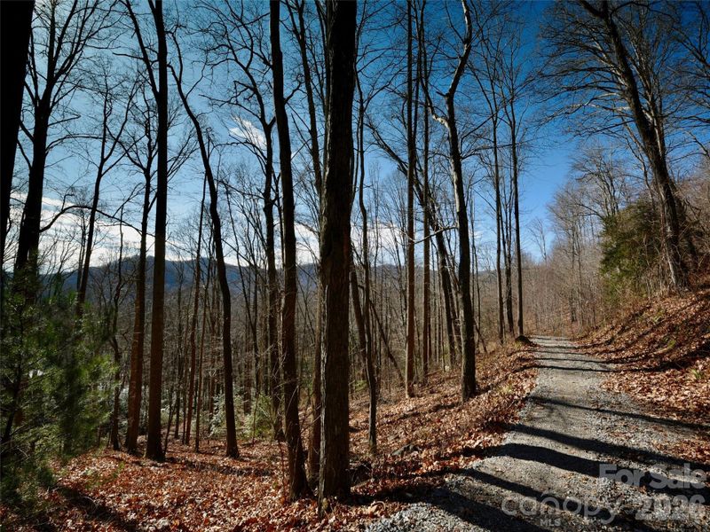 Natural landscape and outdoor views near in Arden (Image 15). Natural landscape and outdoor views near in Arden (Image 15).