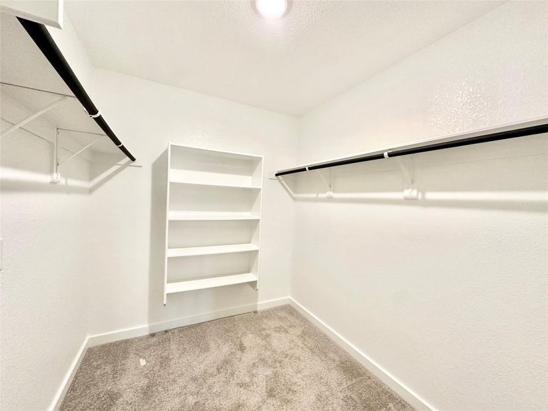 Walk in closet with light colored carpet