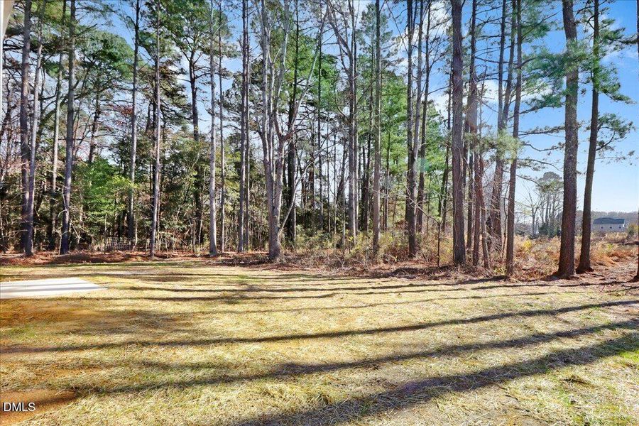 03-Large backyard space behind new const