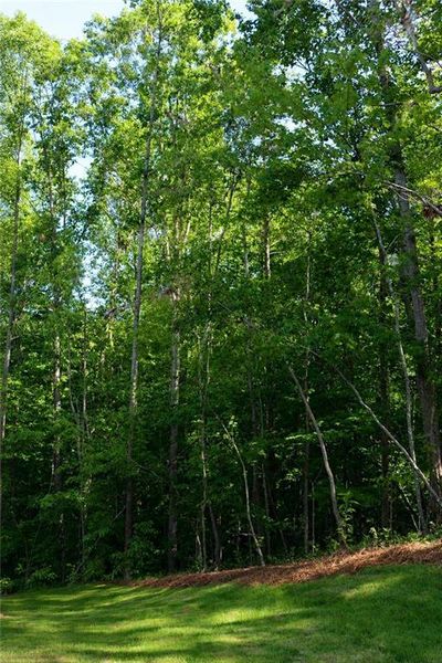 Natural landscape and outdoor views near in Gainesville (Image 38). Natural landscape and outdoor views near in Gainesville (Image 38).