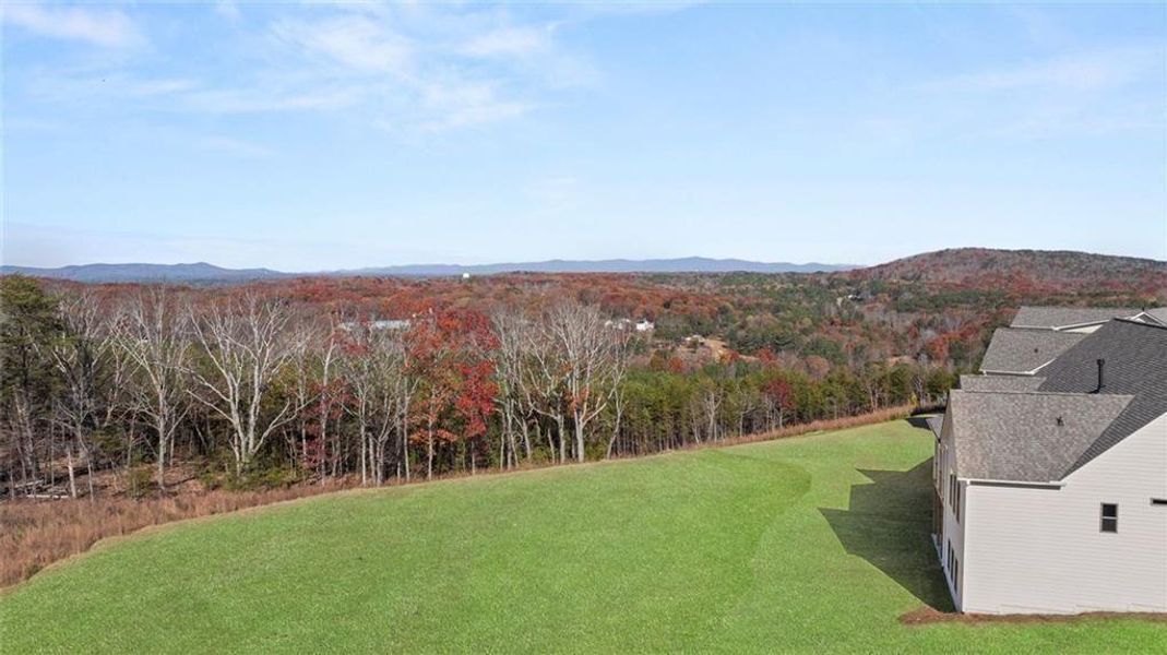 Exterior details and patio area of a home in Horizon at Laurel Canyon, Canton (Image 32).