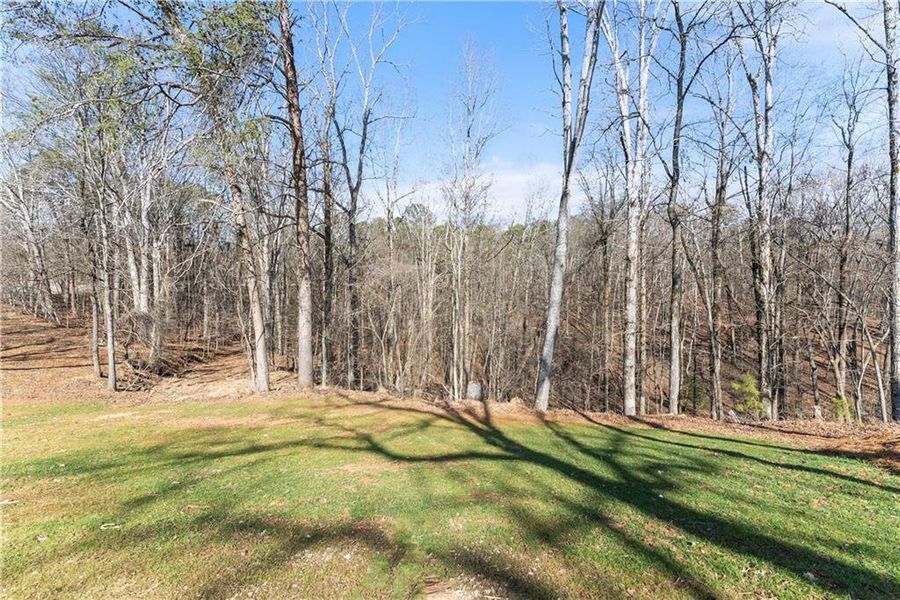 Natural landscape and outdoor views near  in Gainesville (Image 69).