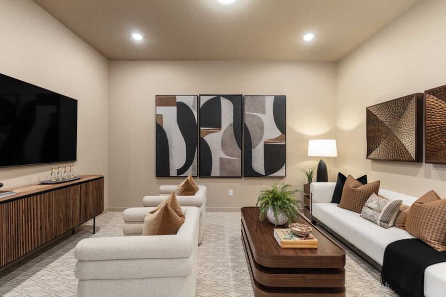 Entertainment Room
