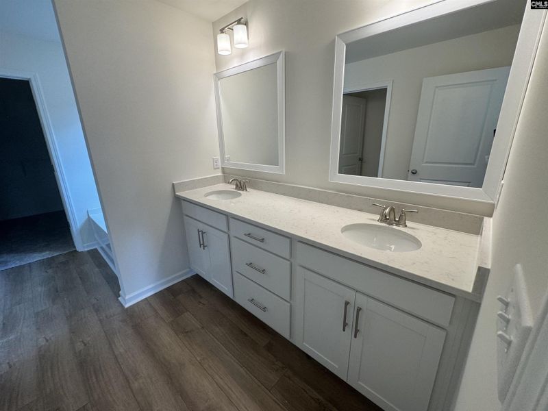 Furnished interior view inside a new home in Boykin Hills, Chapin (Image 3).