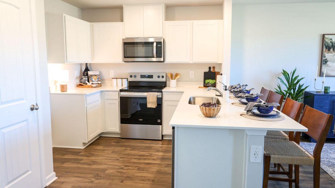 Furnished interior view inside a new home in Paddington Place, Baxter (Image 6).