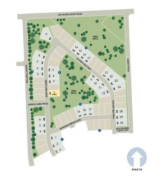 Image 4 of a home in Massey Oaks - Premier Series.