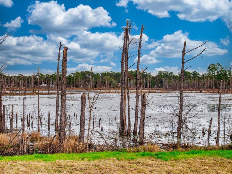 Natural landscape and outdoor views near  in Deltona (Image 41).