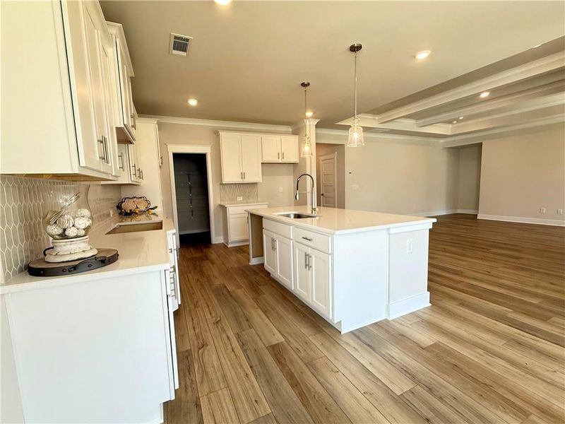 Furnished interior view inside a new home in Ponderosa Farms Reserve, Gainesville (Image 9). Furnished interior view inside a new home in Ponderosa Farms Reserve, Gainesville (Image 9).