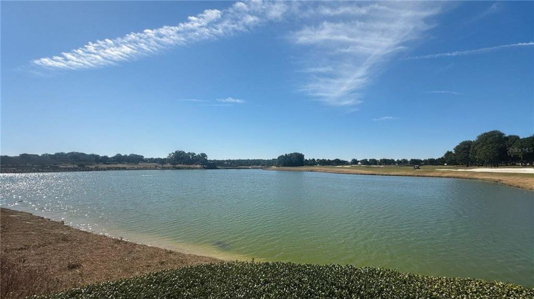 Natural landscape and outdoor views near in Ocala (Image 48). Natural landscape and outdoor views near in Ocala (Image 48).