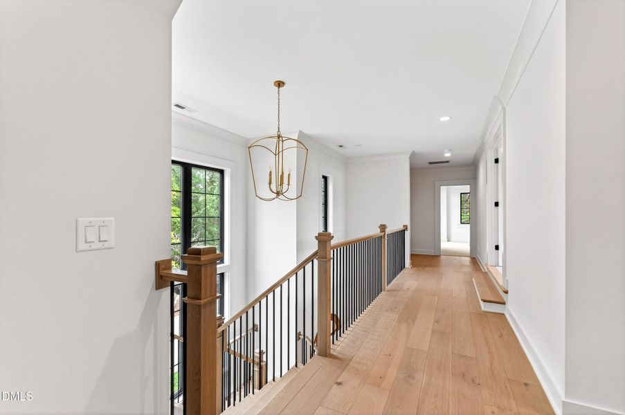 Edenburgh New (49)