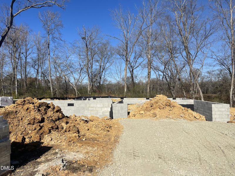 IMG-5539 (1) IMG-5539 (1)