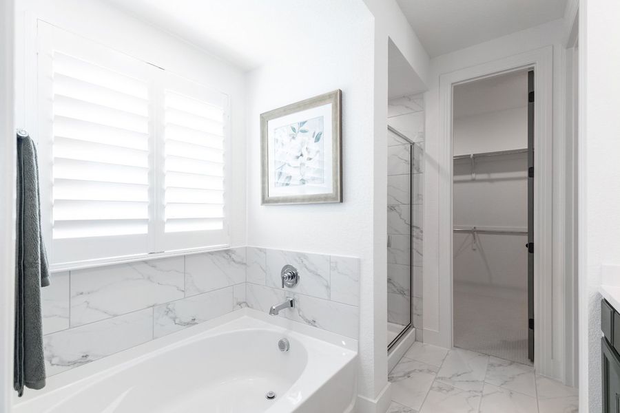 Representative Primary Bathroom - some options shown
