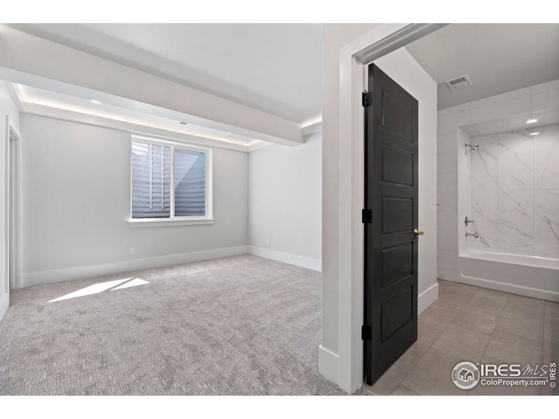 Basement Bedroom with ensuite