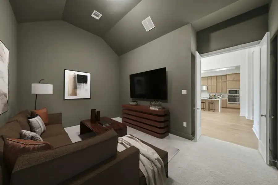 Entertainment Room