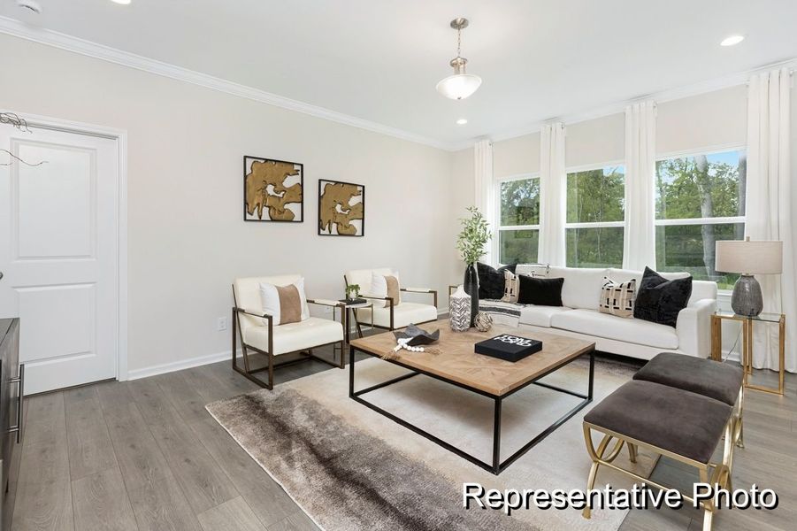 Furnished interior view inside a new home in Homecoming, Ravenel (Image 13).