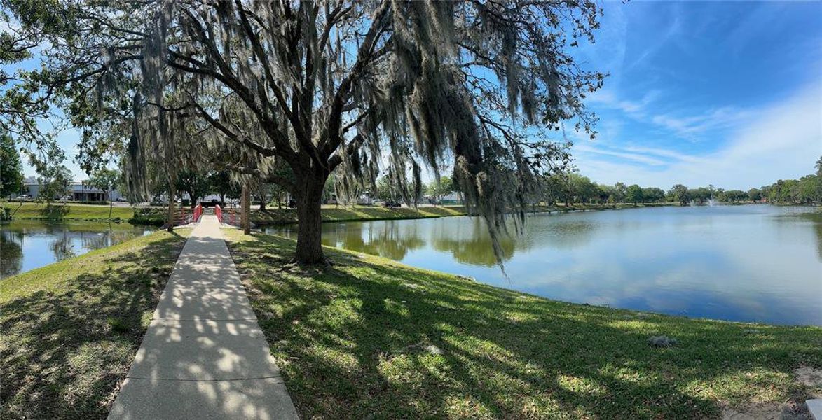 Natural landscape and outdoor views near  in Ocala (Image 55).
