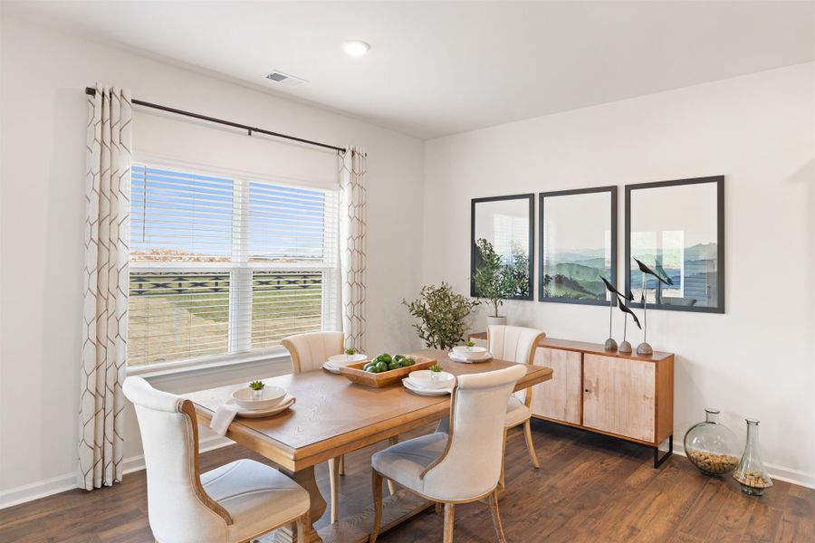 Representative furnished interior of a home built from the Denton by D.R. Horton in Sweet Briar, Ooltewah (Image 13).