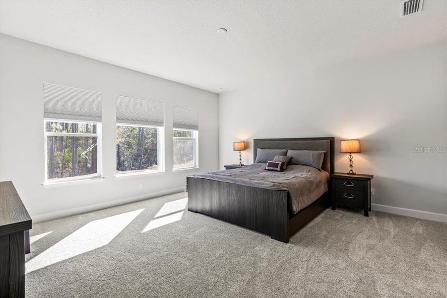 Furnished interior view inside a new home in Woodhaven, Port Orange (Image 17). Furnished interior view inside a new home in Woodhaven, Port Orange (Image 17).