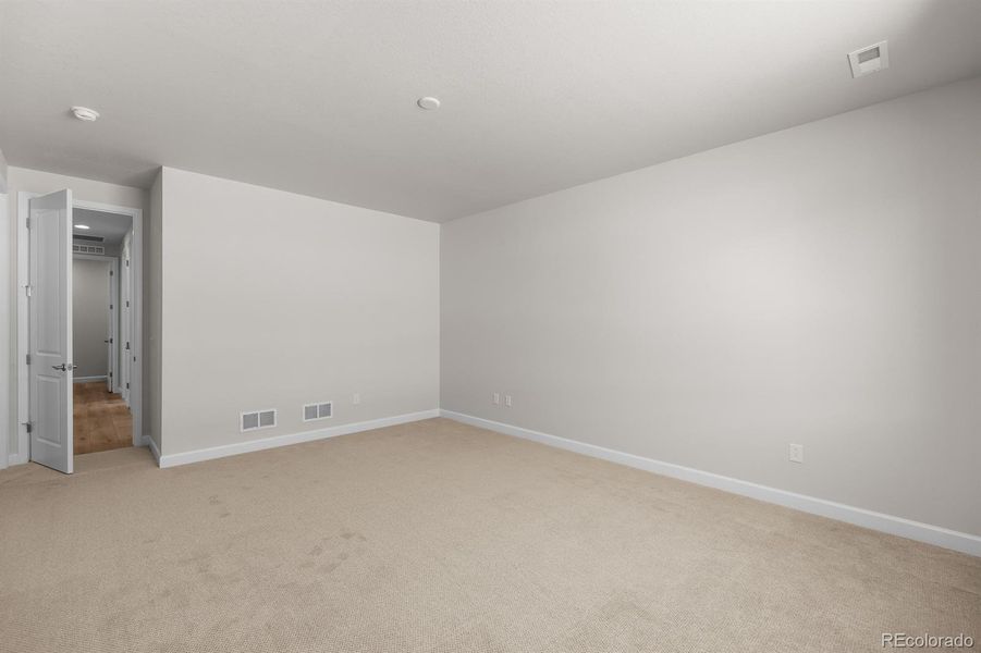 Spacious, unfurnished interior of a new home in Rhyolite Ranch, Castle Rock (Image 33).