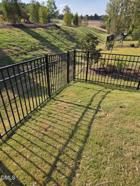 FENCED IN BACKYARD FENCED IN BACKYARD